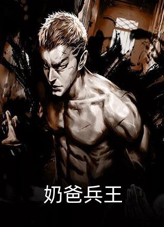 二斗写的小说奶爸兵王小说全文阅读