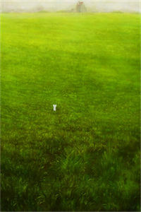 傲世猛龙(齐等闲玉小龙）免费阅读