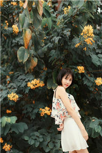 《我的青梅竹马是病娇》（林缈江殊）全章节小说完结版阅读