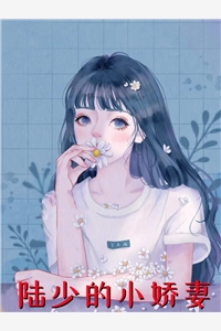 陆少的小娇妻月落星河小说全文免费阅读
