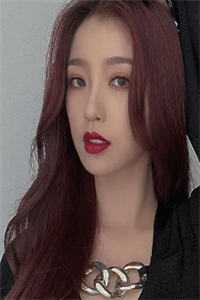 沈颜傅司蘅免费阅读_至此青山小说全文阅读