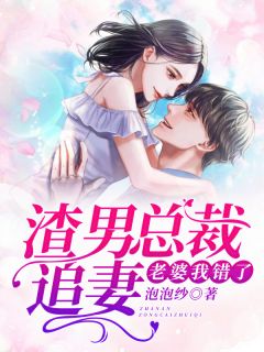 渣男总裁追妻：老婆我错了by泡泡纱在线阅读