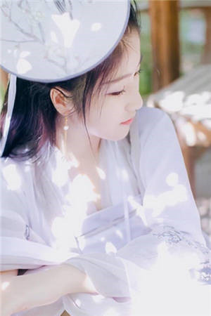 大颂九皇子赵煦