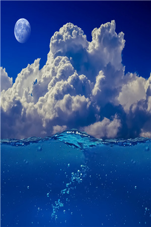 金牌村长（苏策）洞中狐小说阅读