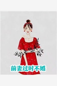 前妻过时不婚
