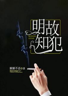 《明知故犯》小说完整章节明知故犯免费阅读