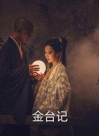 爆款小说金台记全文免费阅读
