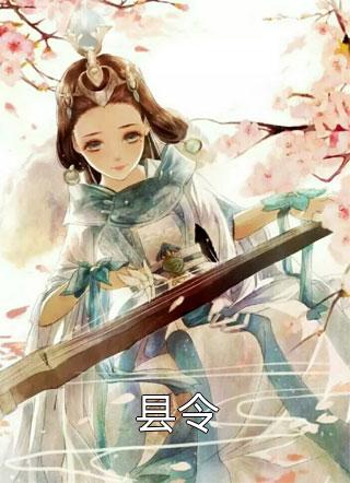 爆款小说县令全文免费阅读