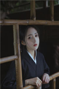 《情丝只似风前絮》热门小说_主角谢沧澜萧夜辰最新章节阅读