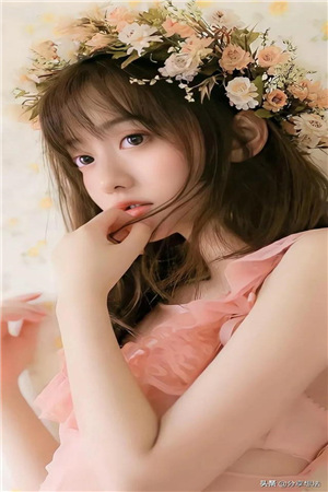 爱情算个蛋沈烬文凝小说全文免费阅读