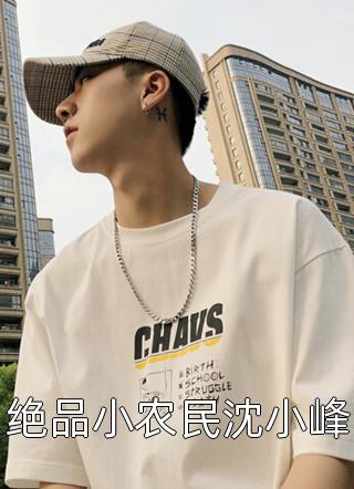 新上《绝品小农民沈小峰》人海浮沉小说免费阅读