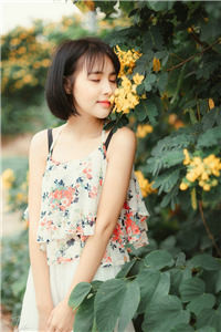 此归无期苏楠萧子期完整版小说全本阅读