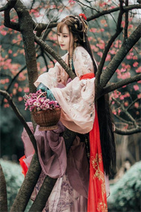 顾行止魏淮昀顾行止魏淮昀完结版小说全章节阅读