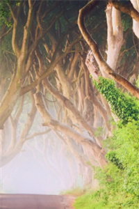 意外的兼职方海最新章节小说阅读