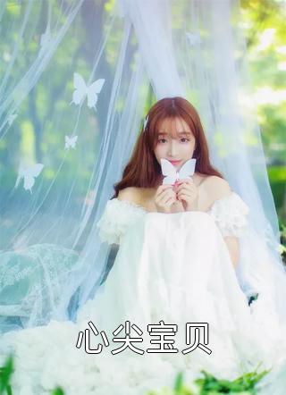 心尖宝贝小说 心尖宝贝免费阅读