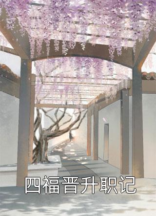 叶甜甜写的小说四福晋升职记小说全文阅读