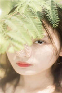 一品村夫(陈飞吴雪梅)在线阅读全文