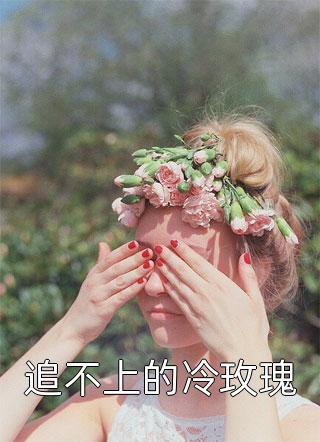 爆款小说平头阿猫《追不上的冷玫瑰》在线阅读