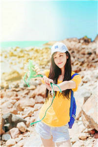 命书的圈套苏云绮小说最新章节阅读