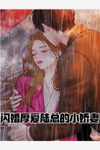 闪婚厚爱陆总的小娇妻