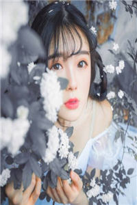 来辞归晚沈辞小北完本小说_沈辞小北全集阅读