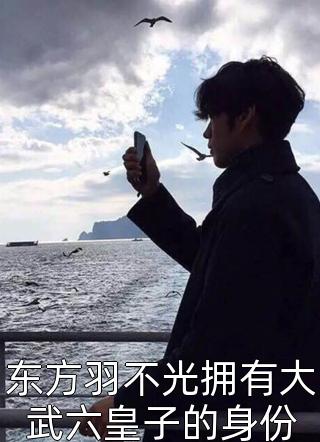 《东方羽不光拥有大武六皇子的身份》完结小说(全文在线阅读)