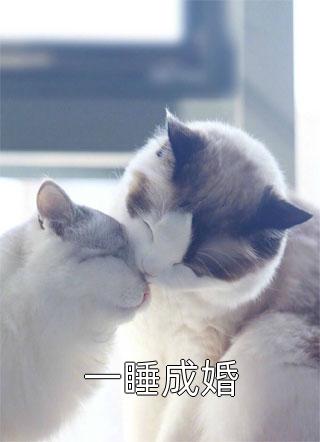 一睡成婚吕知知最新小说全文阅读