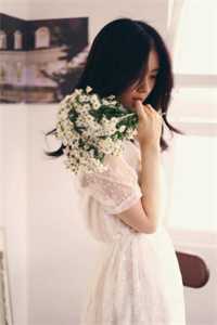 徐宴清陈念小说-徐宴清陈念无广告阅读