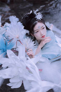 今生予你宋雁书沈归迟陆渊全文小说最新章节阅读