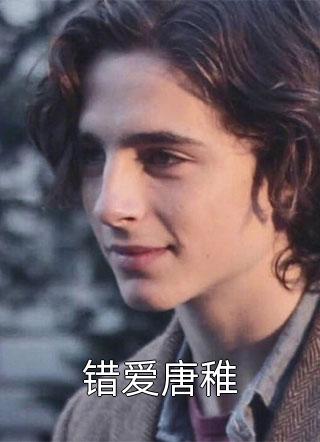 错爱唐稚全本小说错爱唐稚免费章节阅读