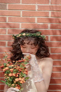 《重生团宠：哥哥们的小娇娇甜又软》（逆袭苏爽文）叶夏季宗免费阅读