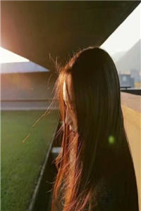 娱乐圈凌歌小说-凌歌李薇全文免费阅读