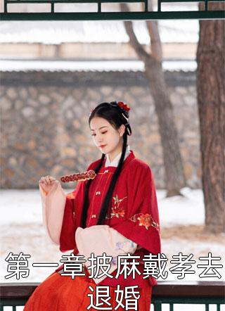 第一章披麻戴孝去退婚起来搬砖全本小说最新阅读