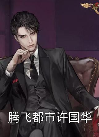 爆款小说洗礼先生《腾飞都市许国华》在线阅读