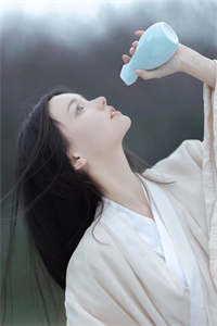 愿如梁上燕全本小说宁素婉沈铎最新章节小说免费阅读