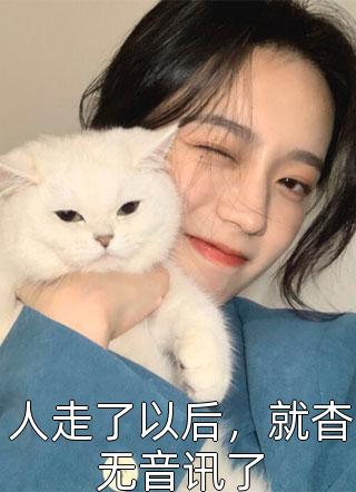 人走了以后，就杳无音讯了小说 人走了以后，就杳无音讯了免费阅读