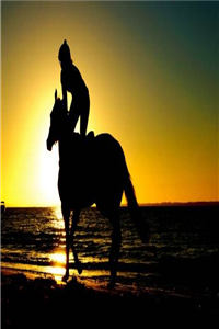 踩下她的荣耀小说_白晚晚沈时深全集阅读