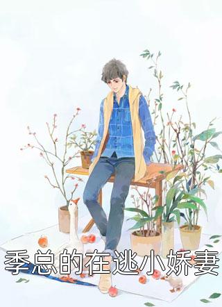 季总的在逃小娇妻林与深全本小说最新阅读