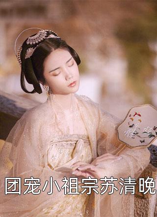 团宠小祖宗苏清晚全文免费阅读(阿丑)完结版阅读