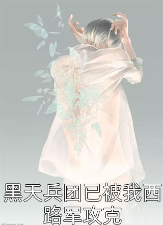 黑天兵团已被我西路军攻克全文阅读 六月天章节阅读