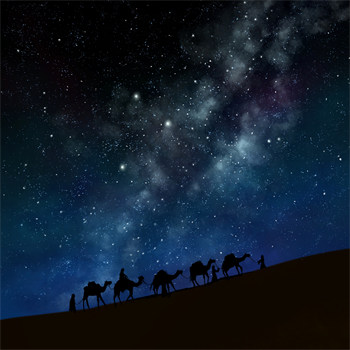 我揍了伴郎团沈绻周诗语全本章节免费阅读