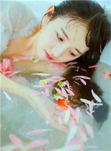 爆款小说前夫你好前夫再见全文免费阅读