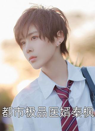 [完结]都市极品医婿秦枫全章节阅读