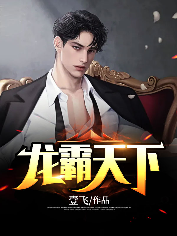 龙霸天下壹飞小说全文免费阅读