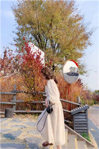 对你情深难控小说_(莫柒柒慕修寒)全章节阅读