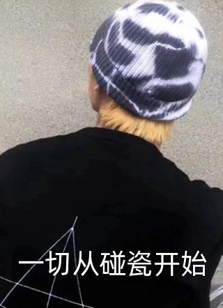 忘情书写的小说一切从碰瓷开始小说全文阅读