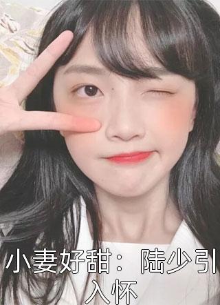 小妻好甜：陆少引入怀桃慕慕大结局小说全章节阅读