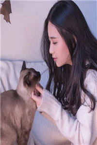 女配她又火了全文免费阅读(赵嫣然陆怀瑾)完结版阅读