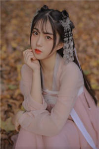 女将军叶容音全集完结版阅读