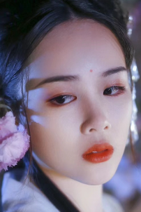 出征归来的将军苏婧沈珏小说全文全章节目录阅读